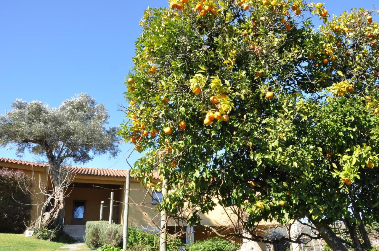 Hotel Rural De Charme Maria Da Fonte Povoa de Lanhoso Exterior photo